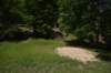 dsc_4219_fs_small.jpg