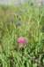 dsc_4164_fs_small.jpg