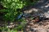 dsc_4169_fs_small.jpg