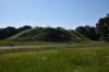 dsc_4177_fs_small.jpg