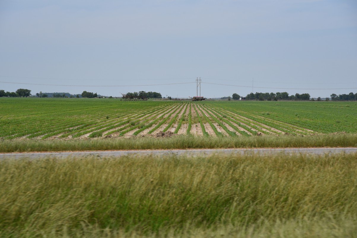indianoladsc_4422_fs.jpg