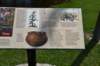dsc_4294_fs_small.jpg