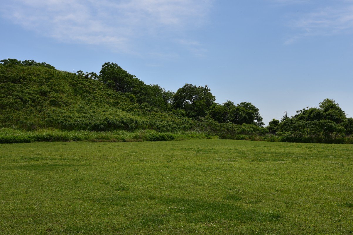 dsc_4310_fs.jpg