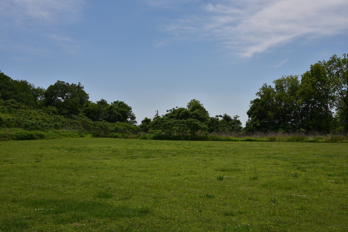 dsc_4311_fs.jpg