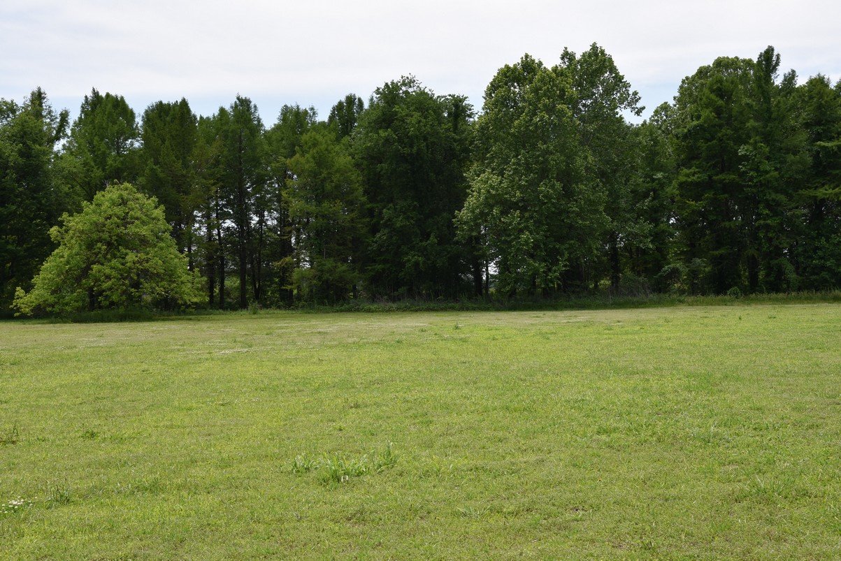 dsc_4314_fs.jpg