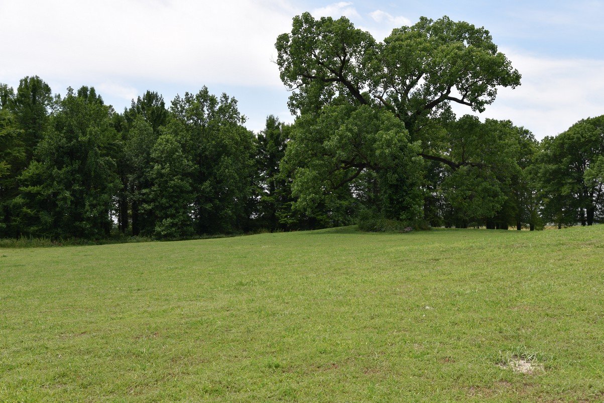 dsc_4316_fs.jpg