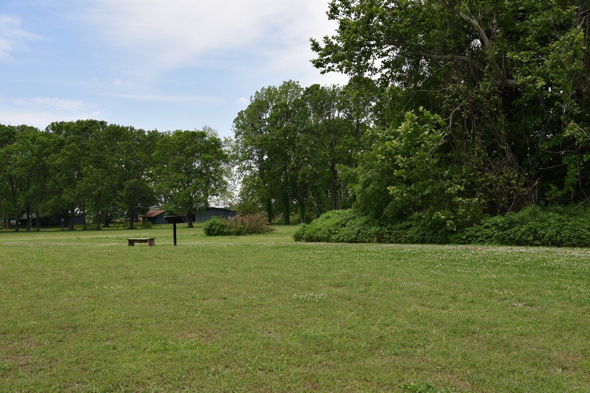 dsc_4320_fs.jpg