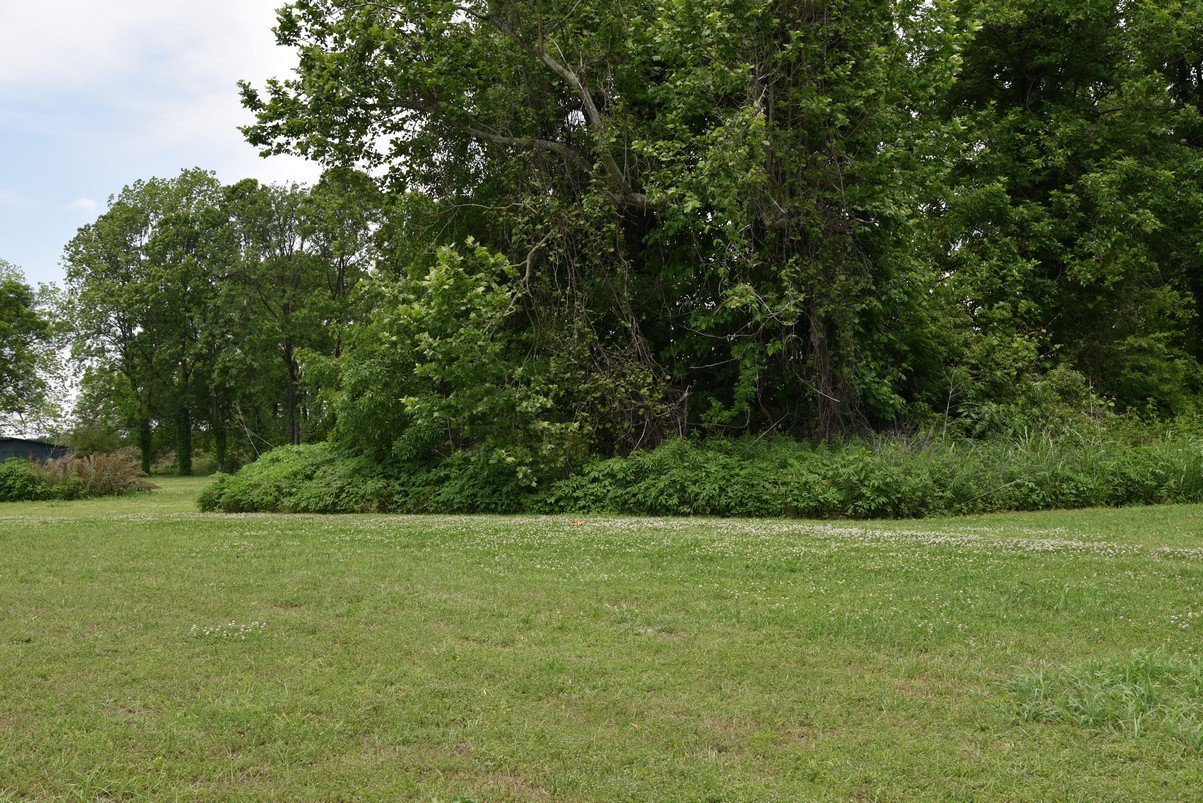 dsc_4321_fs.jpg