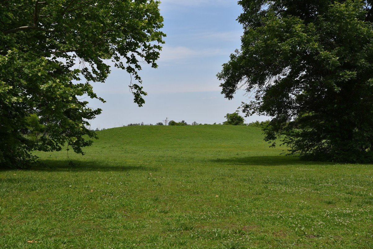 dsc_4333_fs.jpg