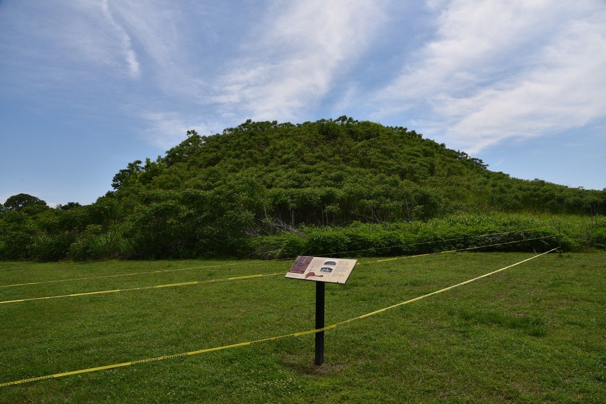 dsc_4338_fs.jpg