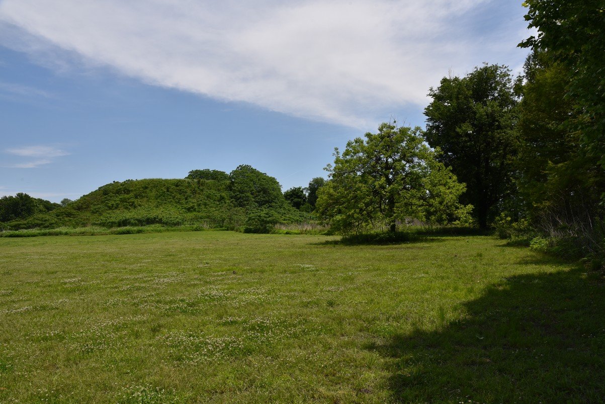 dsc_4352_fs.jpg