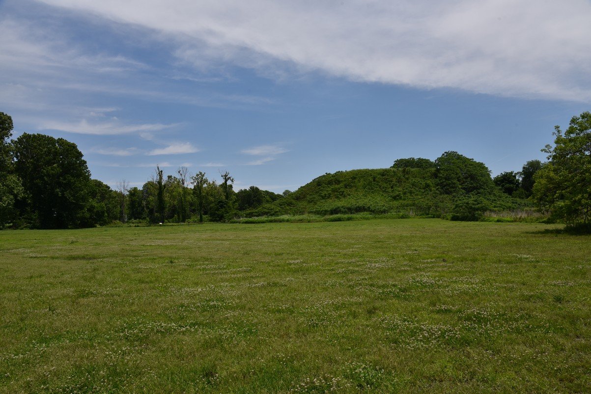 dsc_4353_fs.jpg