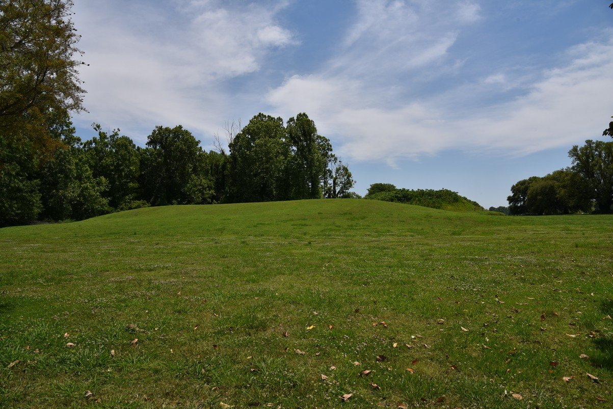 dsc_4362_fs.jpg
