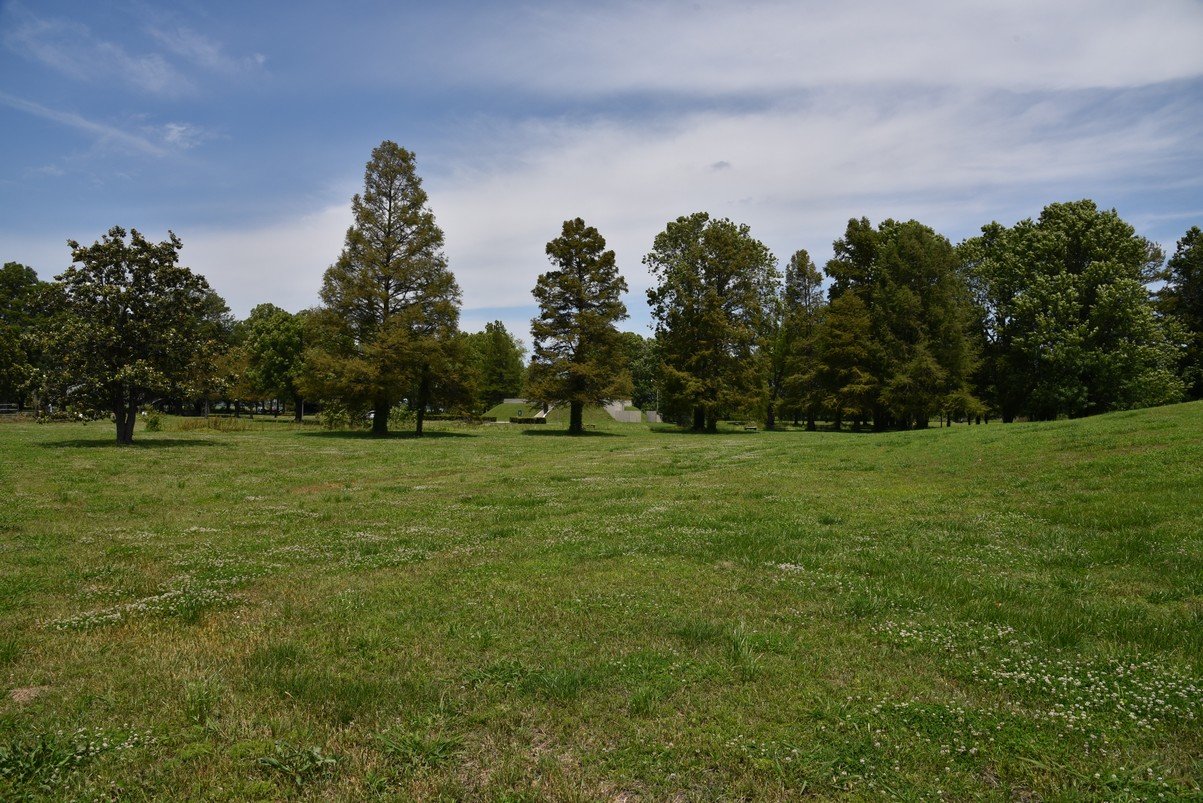 dsc_4366_fs.jpg