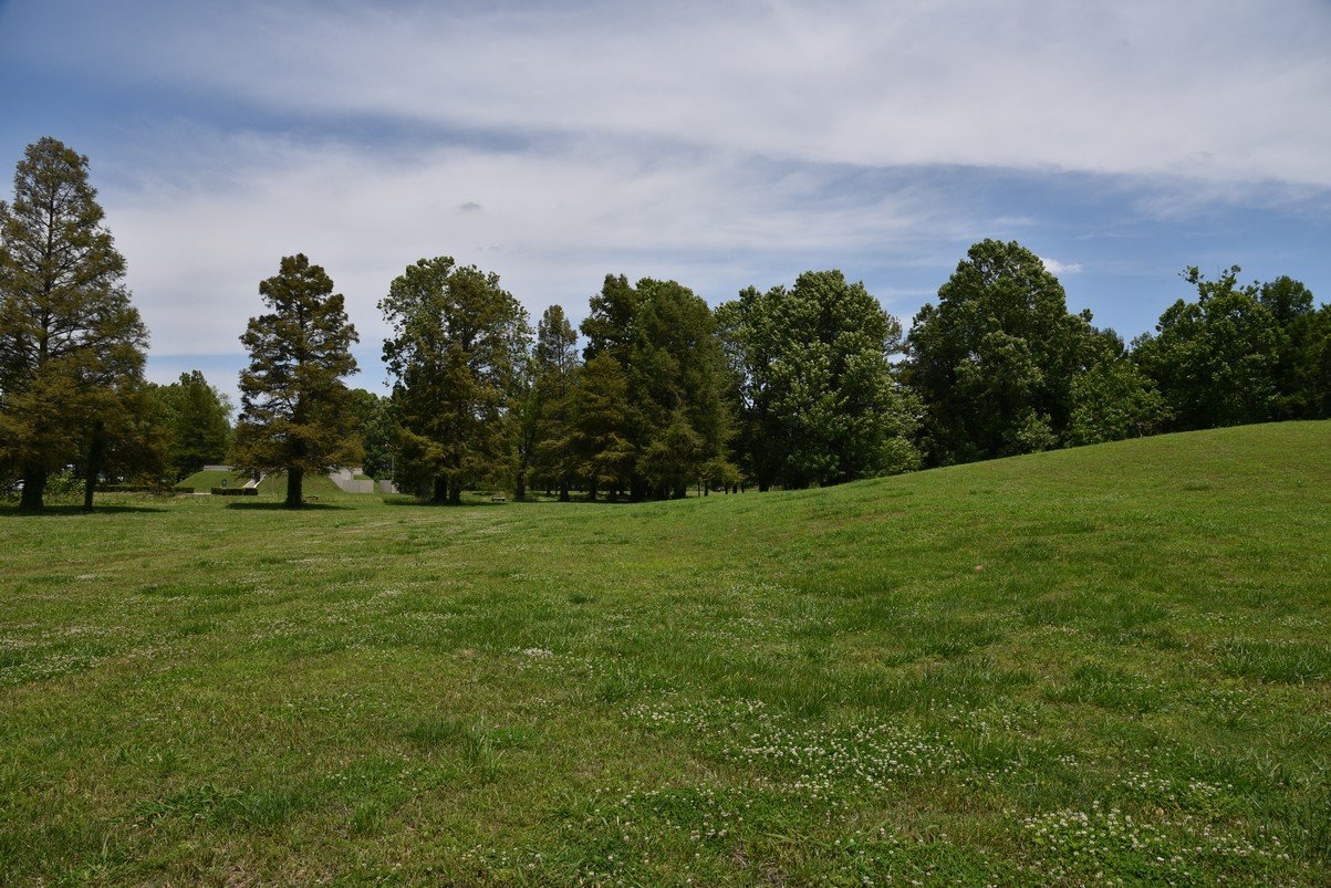 dsc_4367_fs.jpg