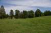 dsc_4367_fs_small.jpg