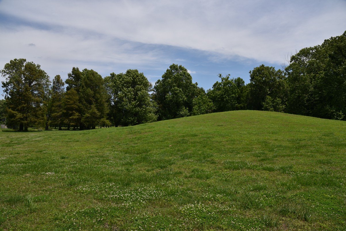 dsc_4368_fs.jpg