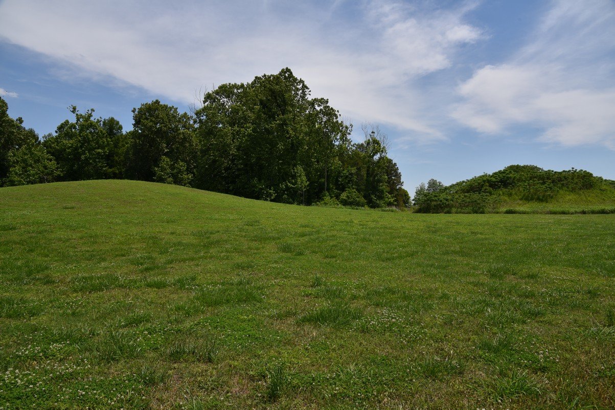dsc_4370_fs.jpg