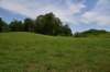 dsc_4370_fs_small.jpg