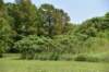 dsc_4373_fs_small.jpg
