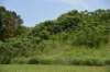 dsc_4374_fs_small.jpg