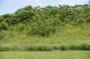 dsc_4375_fs_small.jpg
