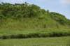 dsc_4377_fs_small.jpg