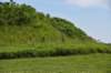 dsc_4378_fs_small.jpg