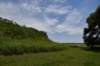 dsc_4380_fs_small.jpg