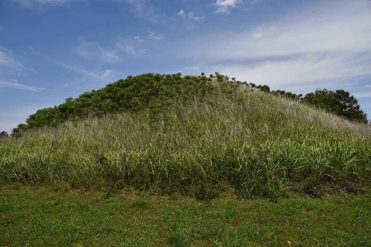 dsc_4382_fs.jpg
