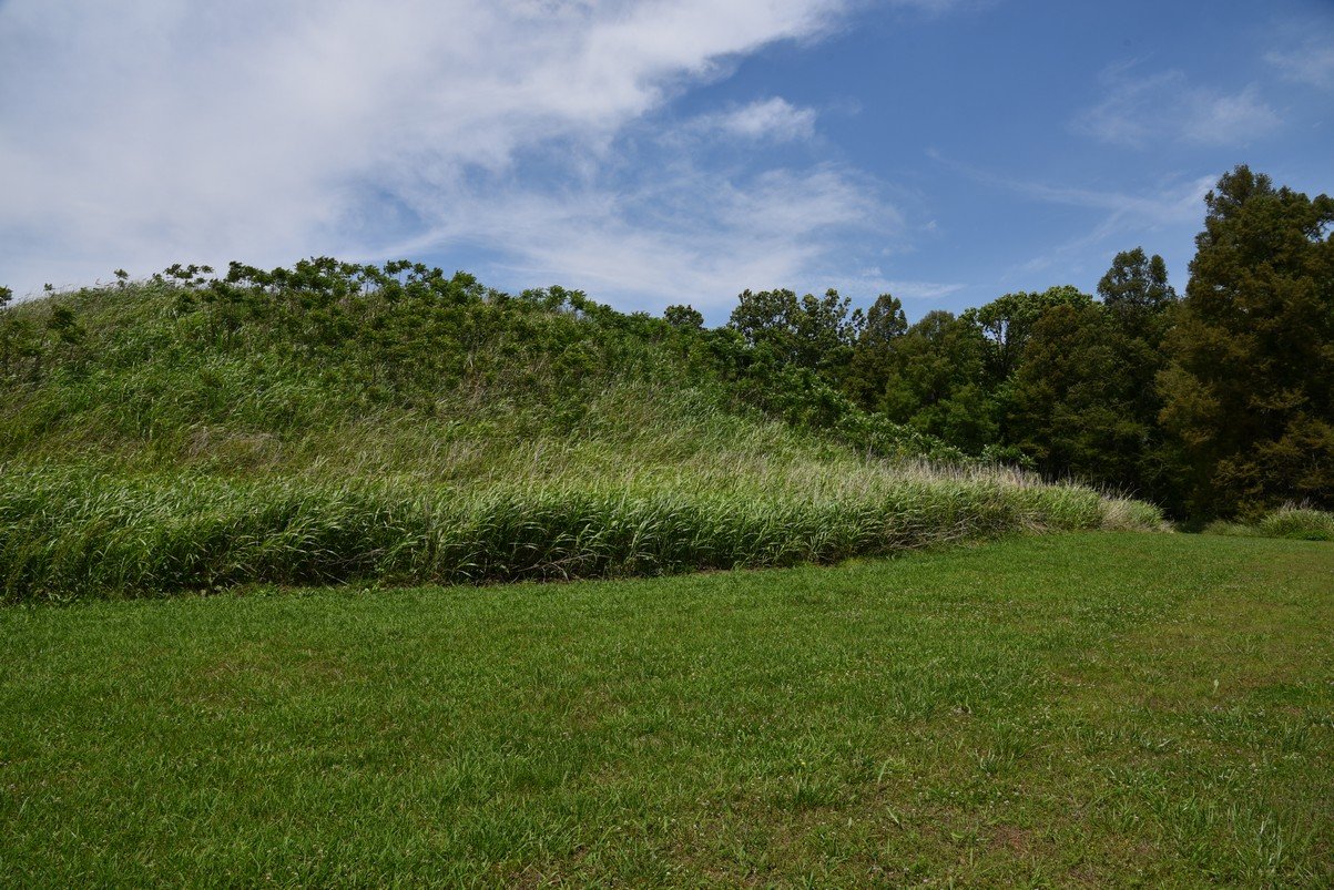 dsc_4387_fs.jpg
