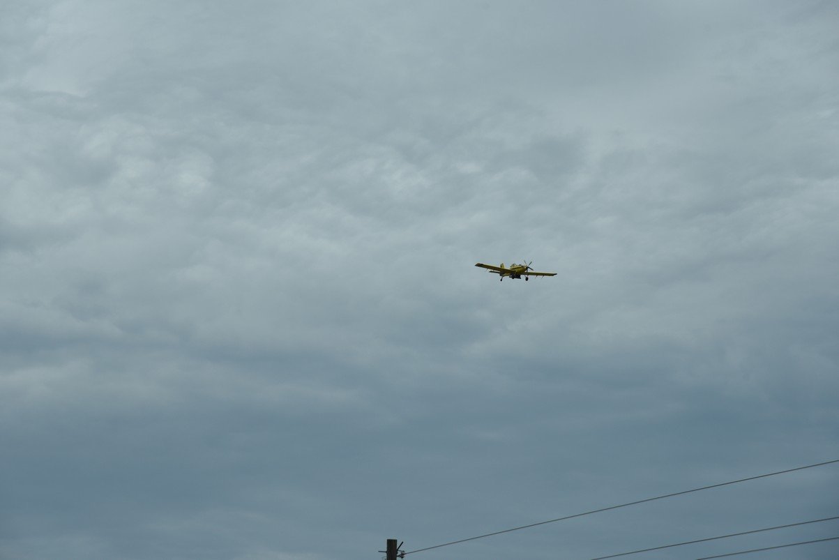 dsc_4475_fsduster.jpg