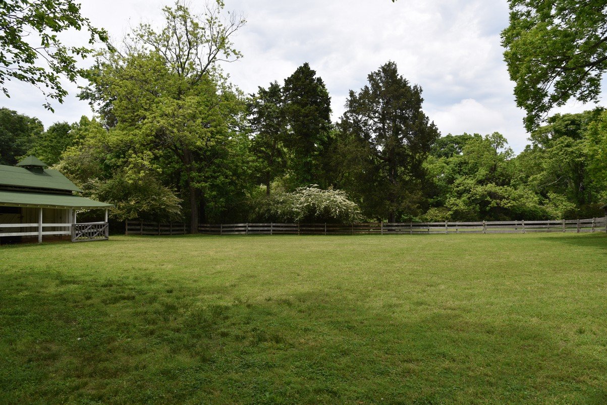 dsc_4501_fs.jpg