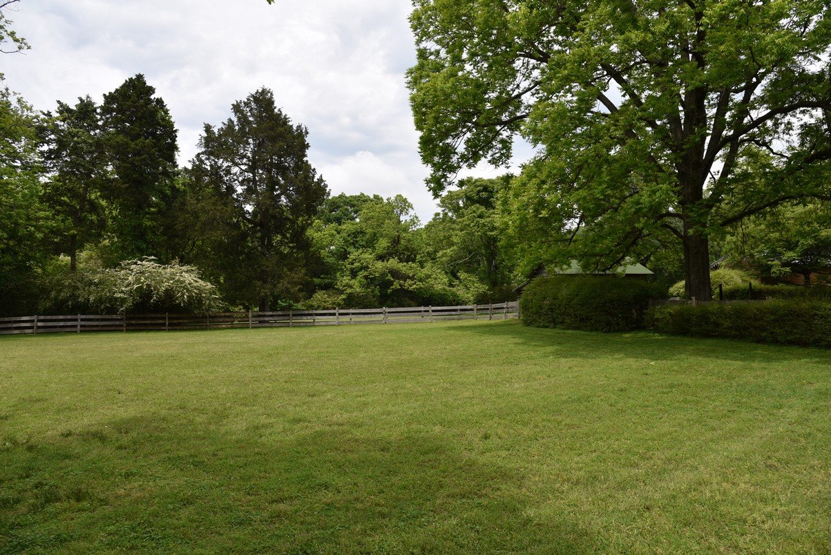 dsc_4502_fs.jpg