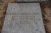 dsc_4530_fs_small.jpg