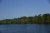 dsc_2075blackriverharrisonburg_small.jpg