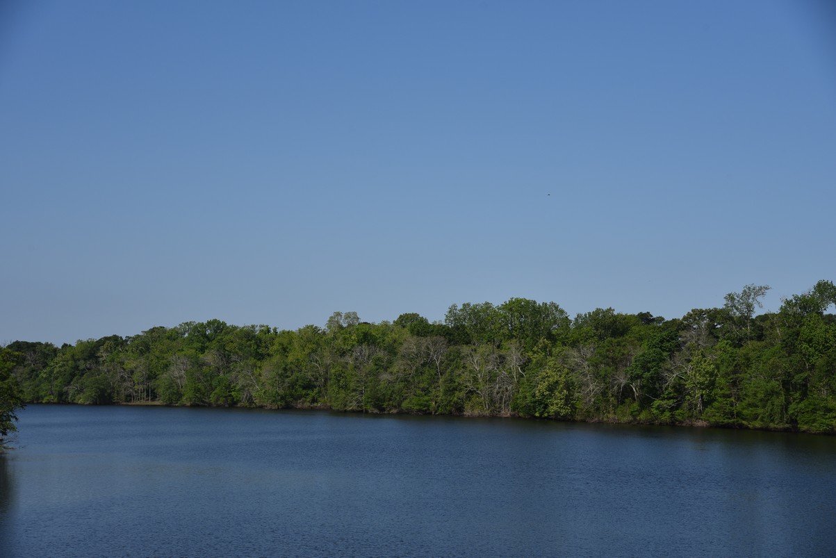 dsc_2076blackriverharrisonburg.jpg