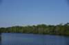 dsc_2076blackriverharrisonburg_small.jpg