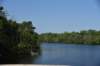 dsc_2078blackriverharrisonburg_small.jpg