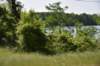 dsc_2079blackriverharrisonburg_small.jpg