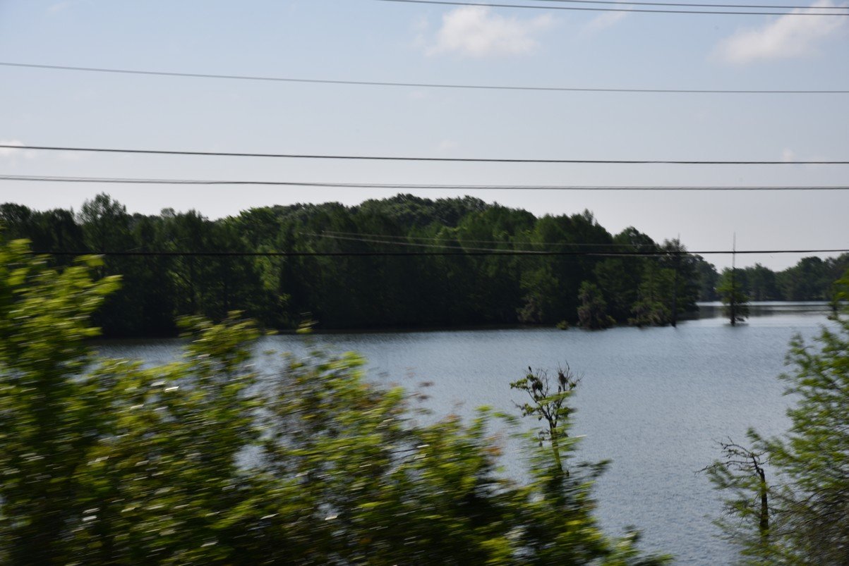 dsc_2080.jpg
