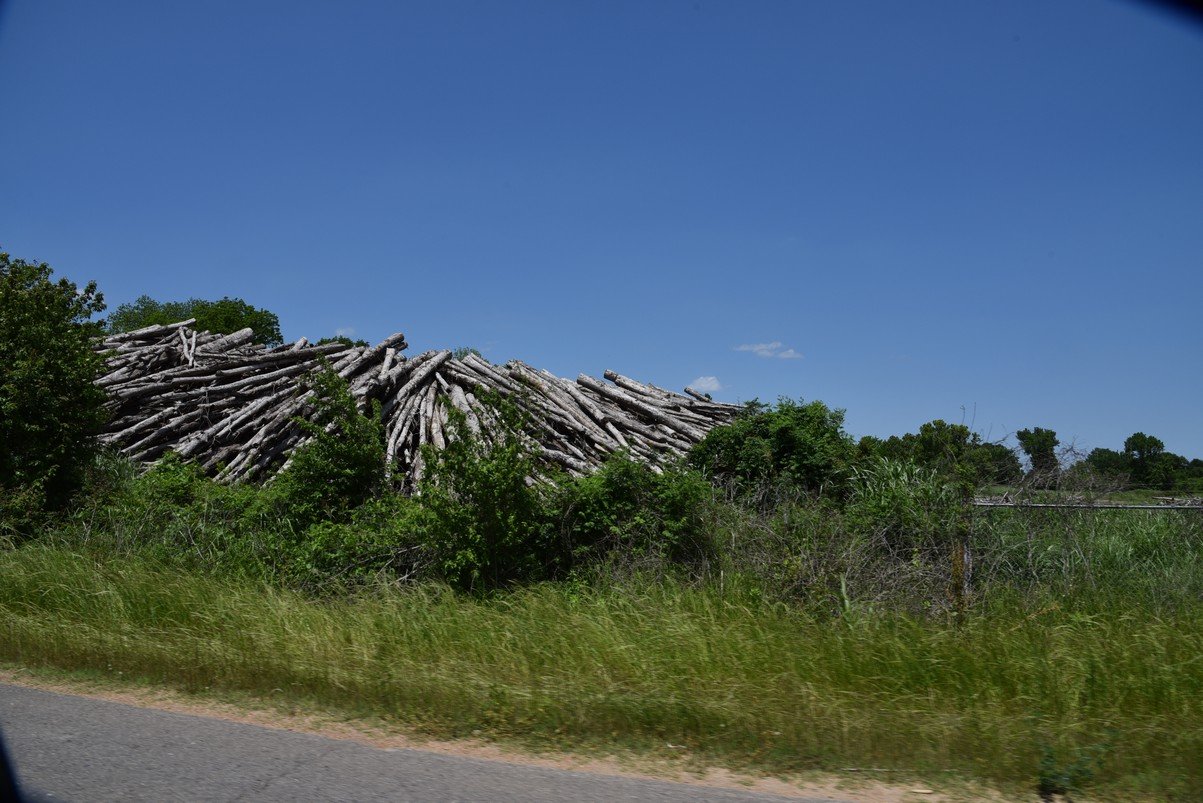 dsc_2143dunbarton.jpg