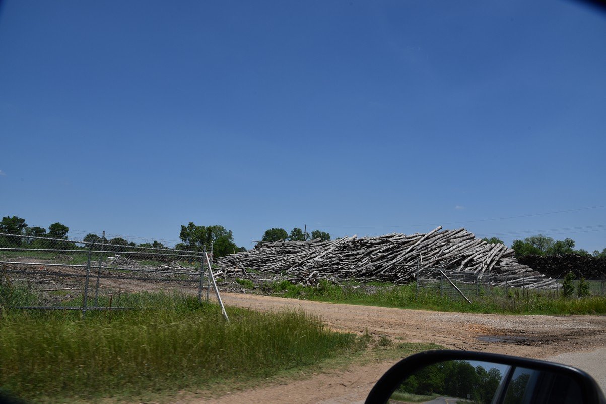 dsc_2146dunbarton.jpg