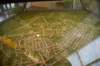 dsc_2312natchezvisitors_small.jpg