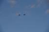 dsc_2325birds_small.jpg