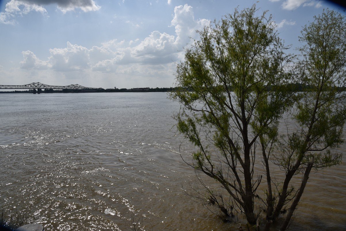 dsc_2273natchezmissriver.jpg