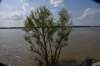dsc_2274natchezmissriver_small.jpg