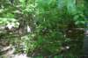 dsc_3633_fs_small.jpg