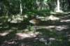 dsc_3639_fs_small.jpg