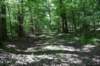 dsc_3640_fs_small.jpg